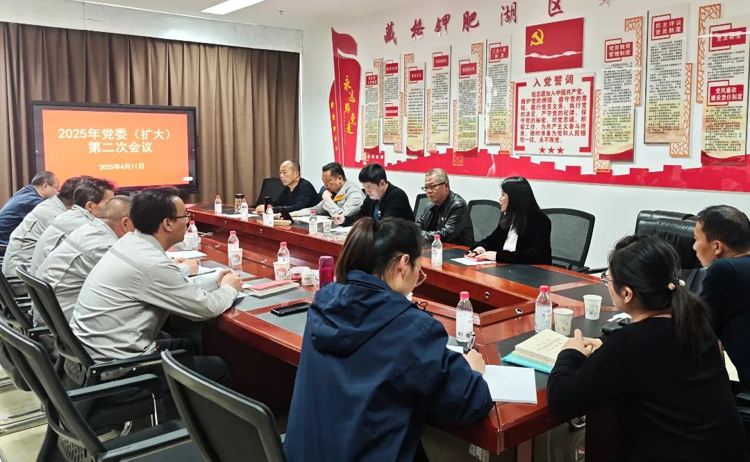 藏格钾肥党委召开第二次（扩大）会议