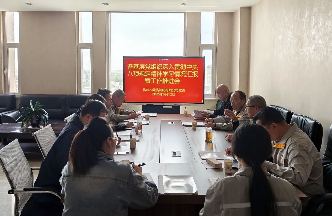 藏格钾肥党委召开各基层党组织深入贯彻中央八项规定精神学习情况汇报暨工作推进会